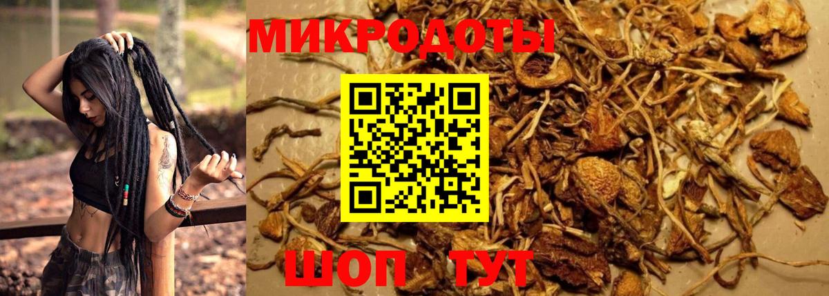 Псилоцибиновые грибы мухоморы Гусь-Хрустальный